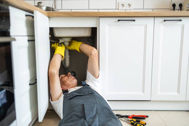 Best Plumbing Services Near Me  in Delphos, OH